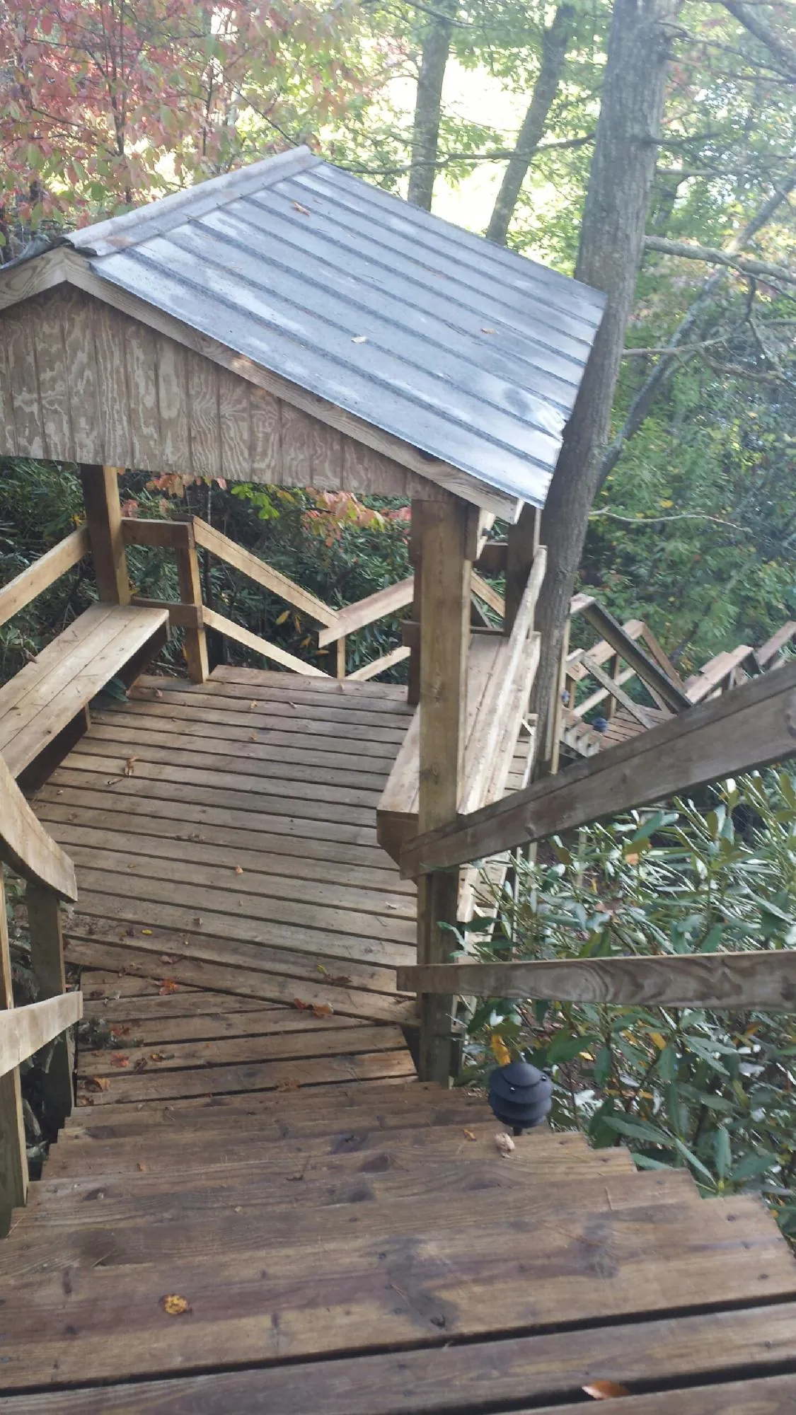 Metal roofed shelter over wooden steps on a wooded walkway in Belt